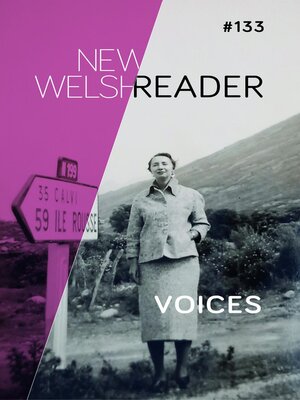 cover image of New Welsh Reader 133